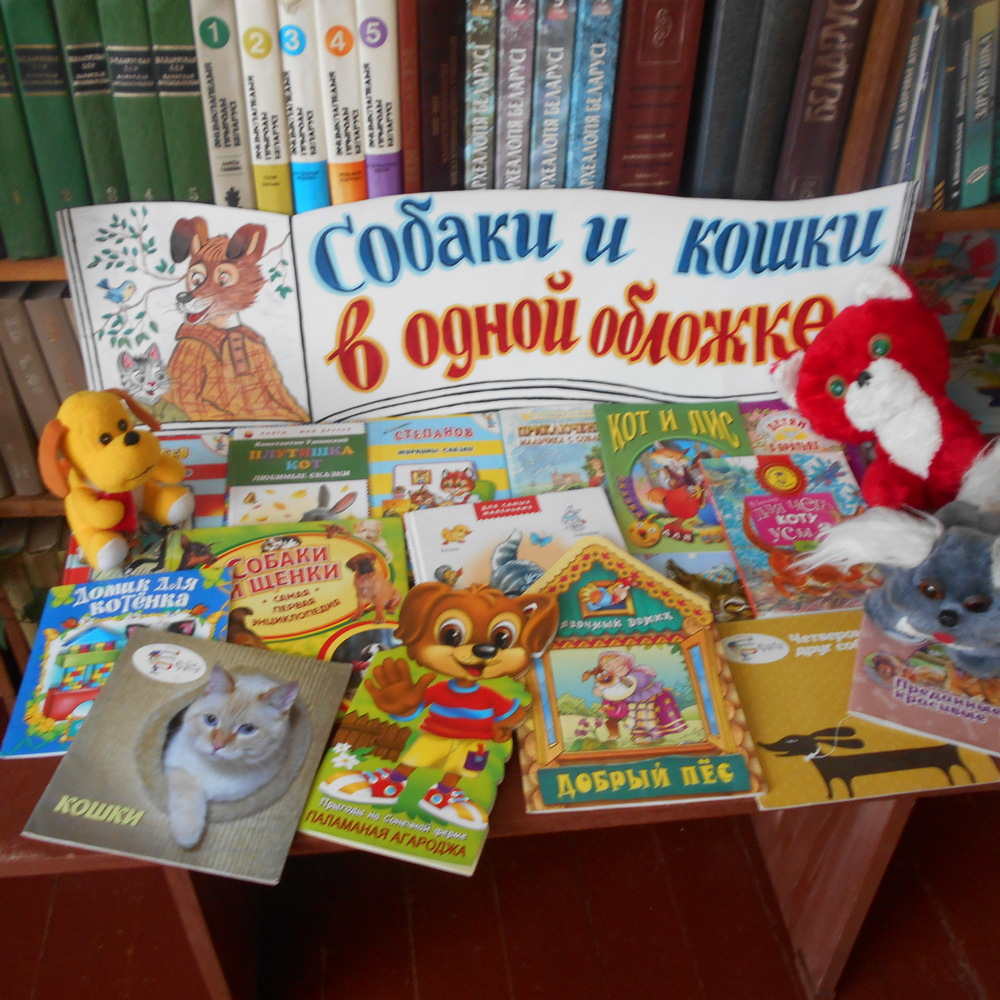 DSCN6753.jpg