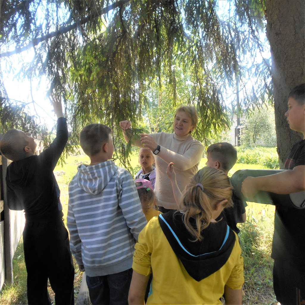 DSCN9219.JPG