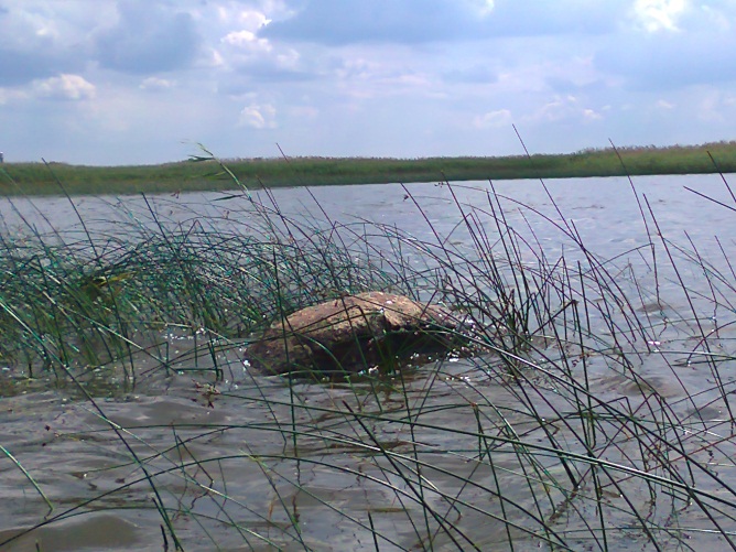 ореховский камень.jpg
