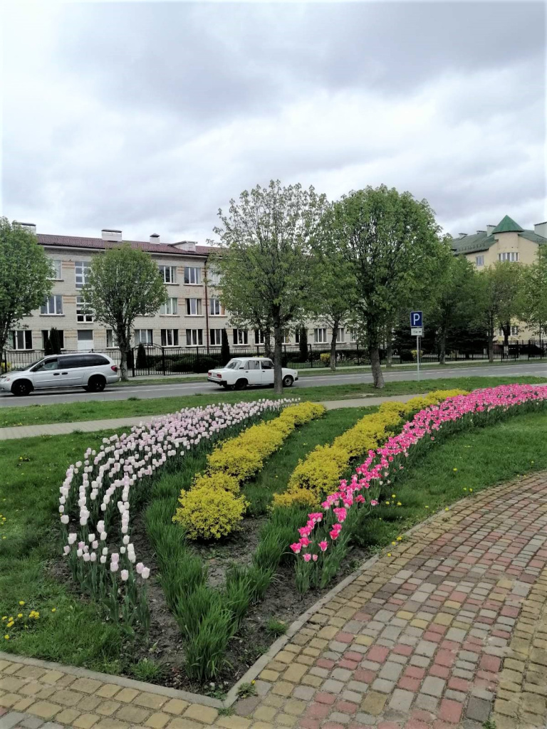 изображение_viber_2024-04-12_15-44-56-592.jpg