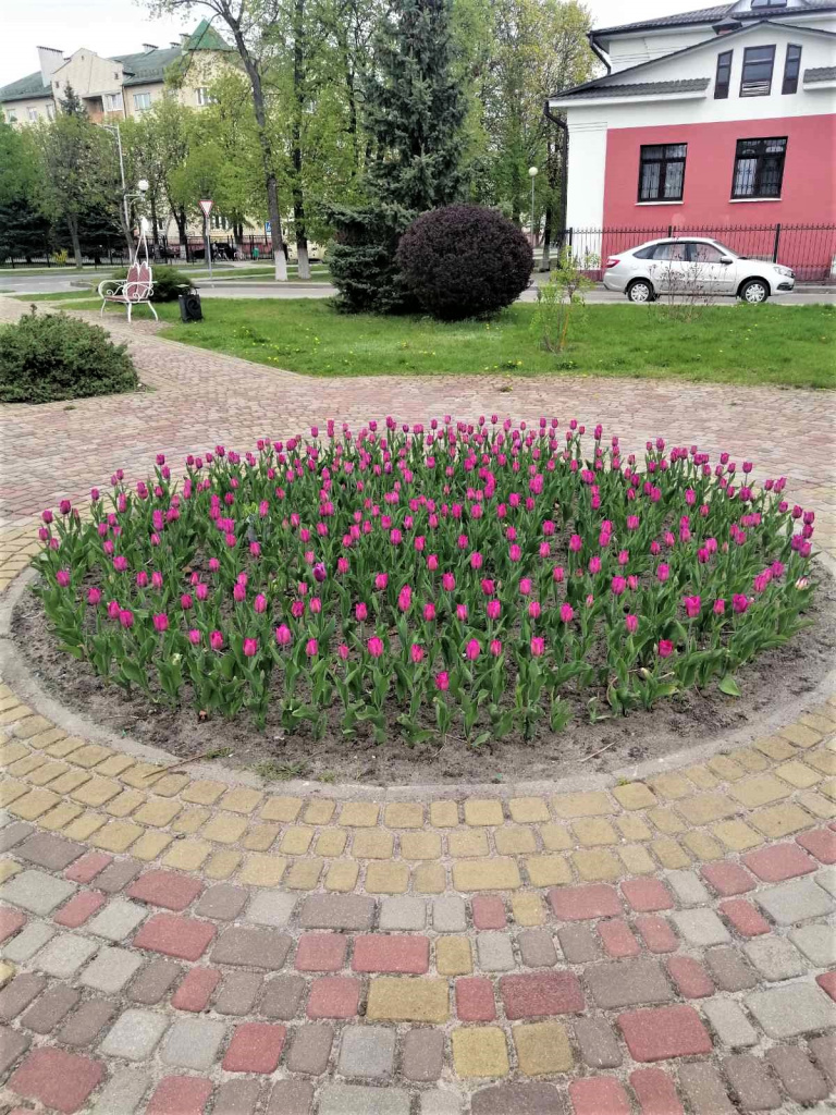 изображение_viber_2024-04-12_15-44-56-530.jpg